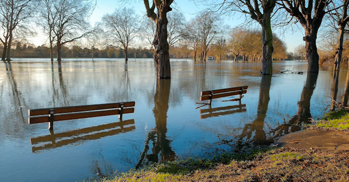 flood in park